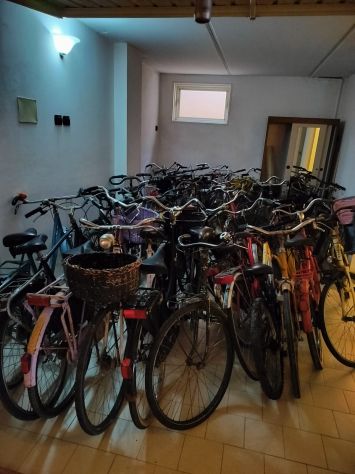 vendo biciclette