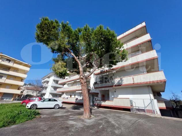 Appartamento - Alba Adriatica . Rif.: Cod. rif A028VRG - Foto 15