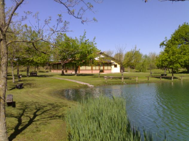 Bar Trattoria con Parco e Lago mq. 50.000 - Foto 7