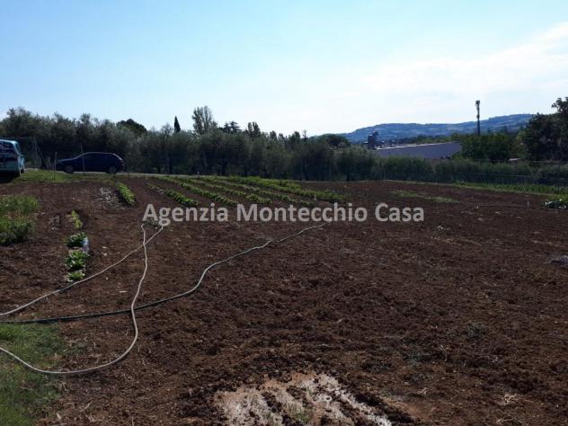 ORTO RECINTATO A POCA DISTANZA DA PESARO - Foto 5