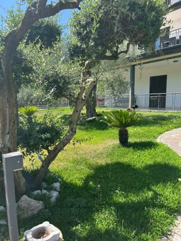 Appartamento in Via Carpinelli - Foto 4