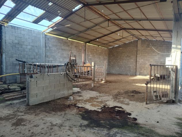 Vendesi Tenuta Agricola di 4 Ettari con Casa e Fabbricati a Siurgus Donigala - Foto 2