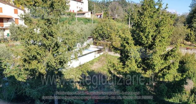 AZIENDE-ALTRA CATEGORIA-Via del Palagio - Foto 4