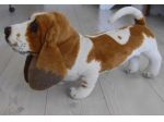 Cane di Peluche