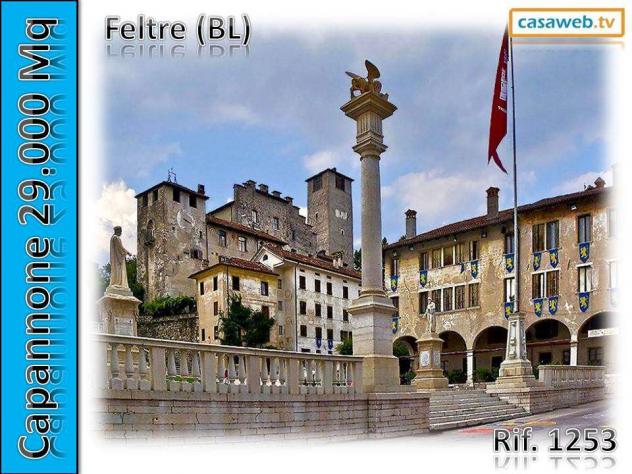1253 - Capannone a Borgo Valbelluna - Foto 12