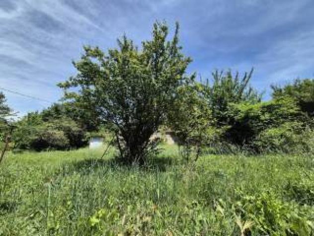 Semindipendente in vendita a Castell'Azzara - Foto 3