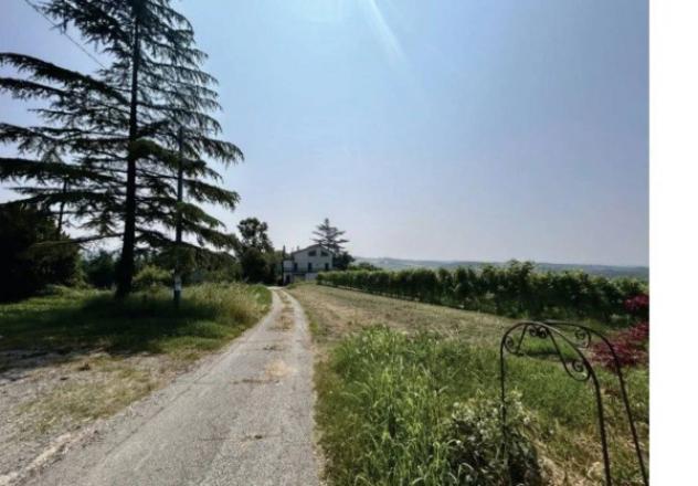 Immobile in asta di 688 m² con più di 5 locali e box auto in vendita a Vignale Monferrato - Foto 11