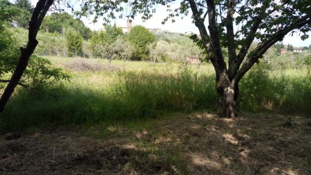 Agricolo in vendita a Buggiano