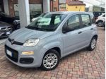 FIAT Panda 1.0 FireFly S&S Hybrid rif. 23984168