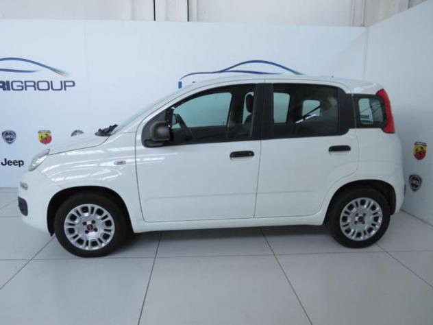 FIAT Panda 1.2 EasyPower Easy rif. 24100994 - Foto 3