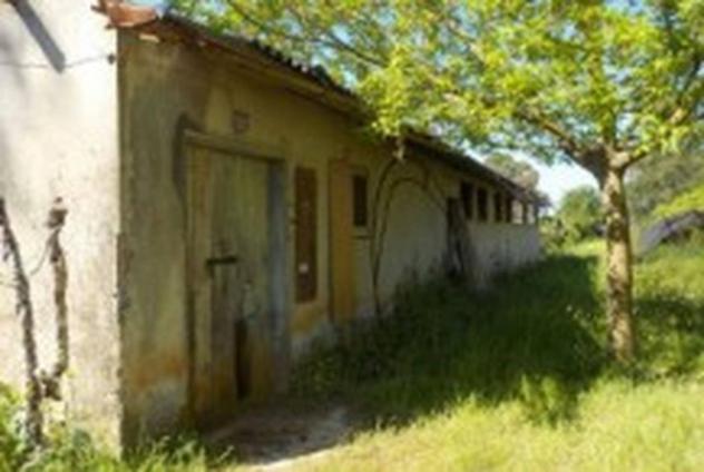 Immobile in asta di 1 m² con più di 5 locali in vendita a Velletri - Foto 7