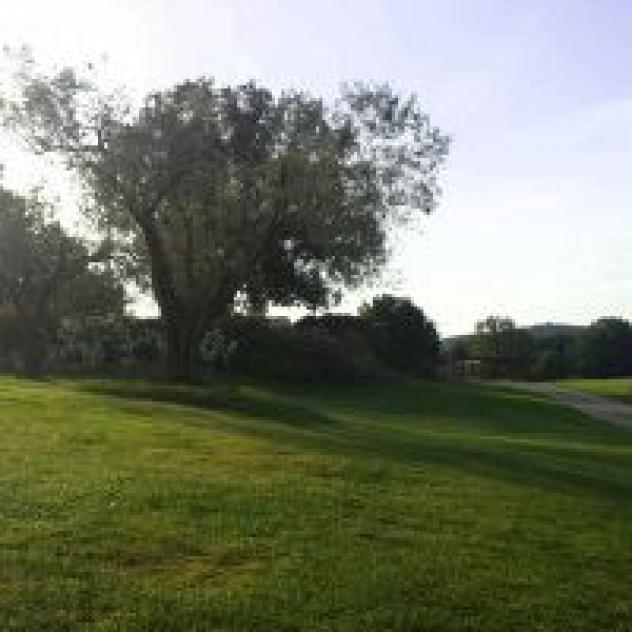 Federazione Italiana Golf