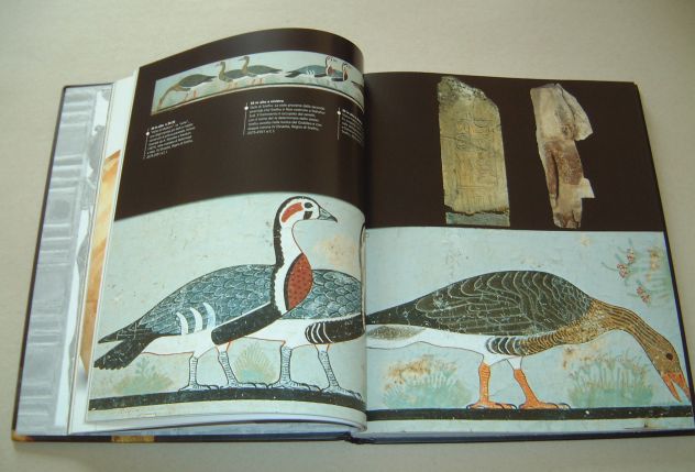 6 - Tutankhamon - Foto 6