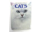 Peggy Wratten: Cats.