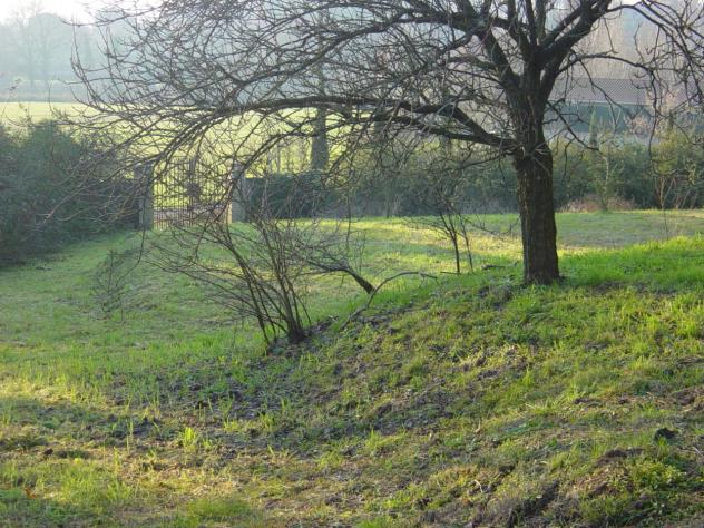 Villa in vendita a Capannori - Foto 12