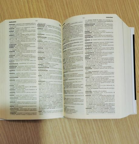 Dizionario Spagnolo-italiano, italiano-spagnolo.  HOEPLI - Foto 5