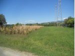 Agricolo in vendita a Castelnuovo Magra