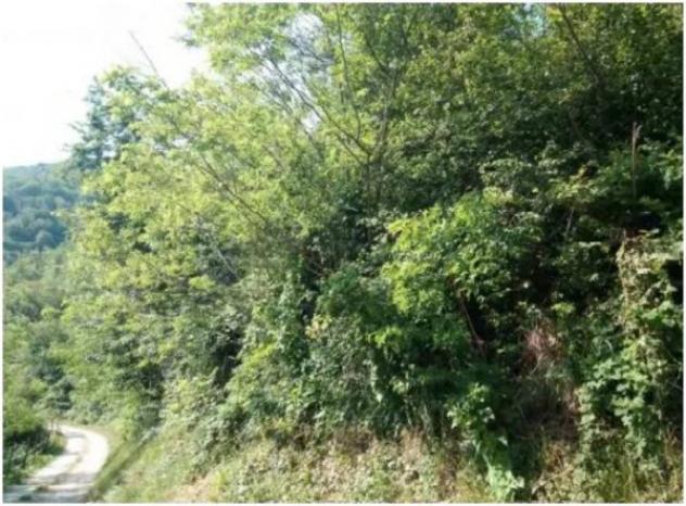 Immobile in asta di 91609 m² in vendita a Pianello Val Tidone - Foto 5