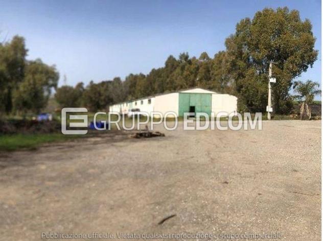 Terreno in vendita a Pisticci - Rif. 4549508 - Foto 3