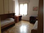 Affitto a studentessa camera singola in zona universitaria e centrale
