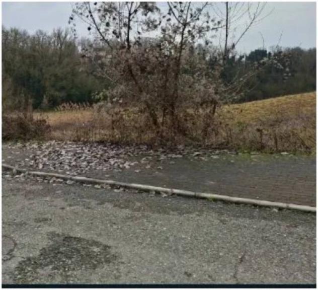 Immobile in asta di 6335 m² in vendita a Medesano - Foto 6