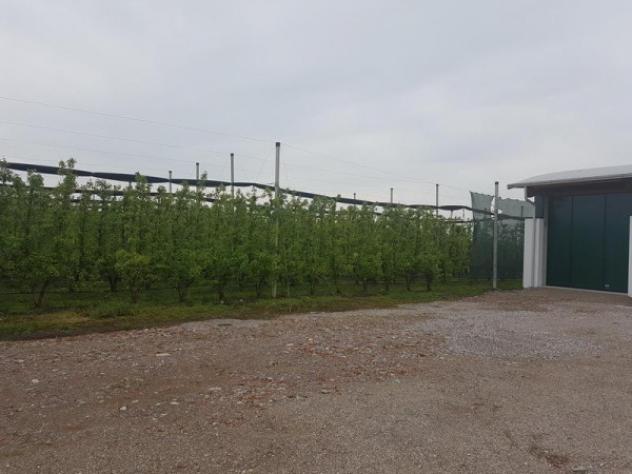 Terreno di 240 m² in vendita a Soliera - Foto 2
