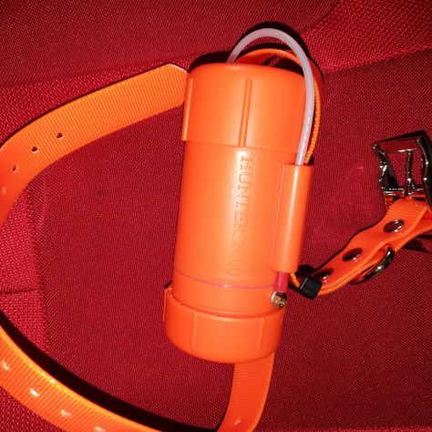 2023 COLLARE BEEPER PER CANI DA CACCIA REMOTO IMPERMEABILE - Foto 6