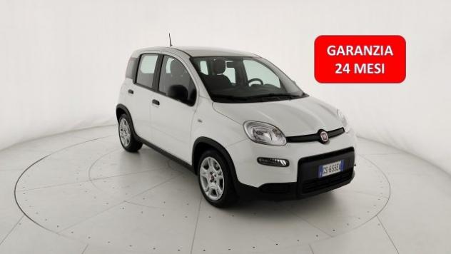 FIAT Panda 1.0 FireFly S&S Hybrid rif. 24094866