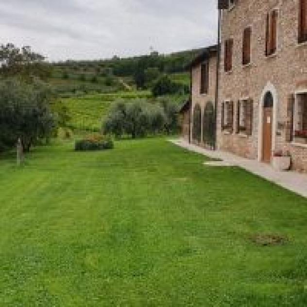 Societa' Agricola La Costa S.r.l. - Foto 4