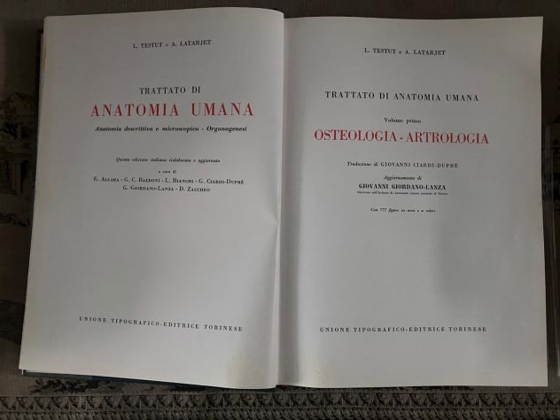 Trattato di Anatomia Umana di Testut e Latarje - Foto 5