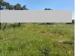 RIF. 470 LOTTI DI TERRENO DOMIZIANA €30.000,00