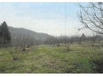 Immobile in asta di 9120 m² in vendita a Monastero Bormida