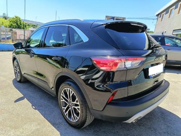 FORD Kuga 2.0 EcoBlue Hybrid 150 CV 2WD Titanium Business rif. 23834177 - Foto 6