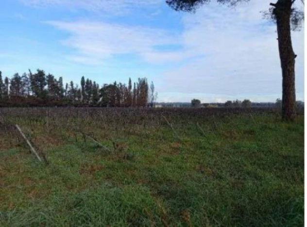 Immobile in asta di 281 m² in vendita a Campi Salentina - Foto 5