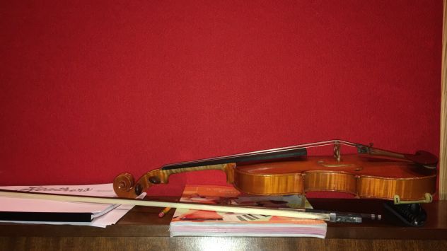 Violino per Principianti Bambini e Adulti
