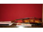 Violino per Principianti  Bambini e Adulti