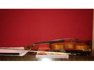 Violino per Principianti  Bambini e Adulti