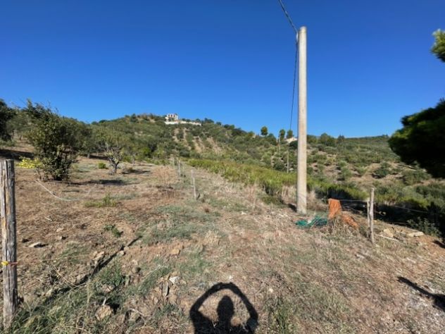 Casal Velino a 3 Km dal mare terreno mq 6.650 - Foto 5