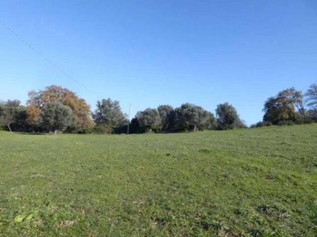 Immobile in asta di 6430 m² in vendita a Casignana - Foto 8