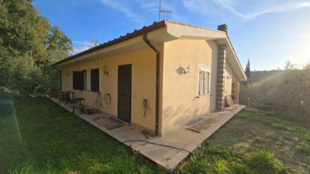 Immobile in asta di 128 m² con più di 5 locali in vendita a Scansano - Foto 2