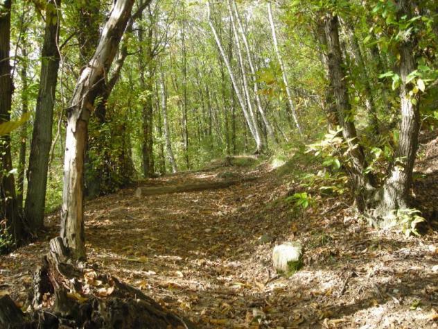 Terreno edificabile in vendita a Miazzina - Foto 14