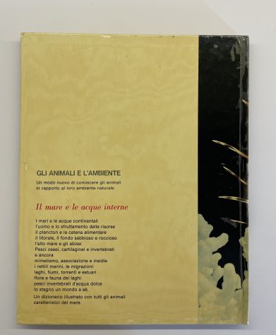 Il mare e le acque interne, Federica Colombo - Foto 2