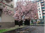 3 camere singole/doppie grandi in bellissimo appartamento