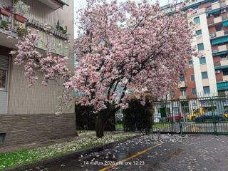 3 camere singole/doppie grandi in bellissimo appartamento