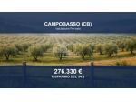 Immobile in asta di 21310 m² in vendita a Campobasso