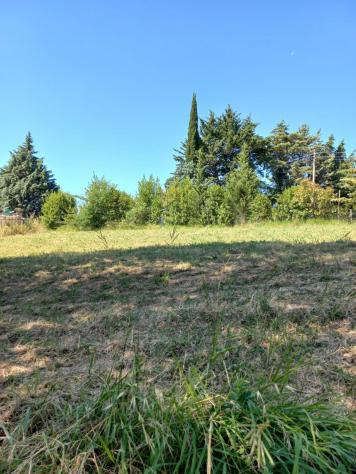 Terreno agricolo in vendita a Peccioli 21000 mq Rif: 1408228 - Foto 8