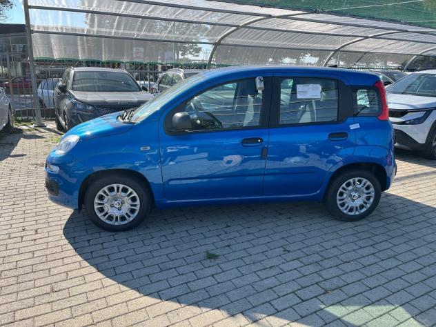 FIAT Pandina Pandina 1.0 firefly hybrid Icon s&s 65cv - Foto 6