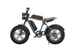 Engwe E-Bike M20 250w 26Ah Doppia Batteria