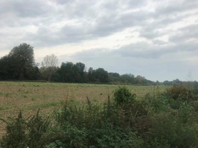 Terreno di 46000 m² in vendita a San Zeno Naviglio - Foto 2