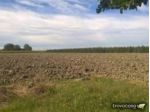 Terreno di 78000 m² in vendita a San Prospero